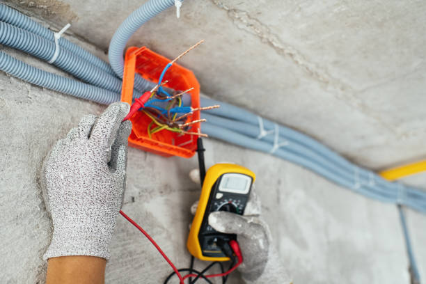 Best Electric Panel Repair  in Lamar, CO